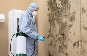 Best Mold Prevention Services  in Philmont, NY